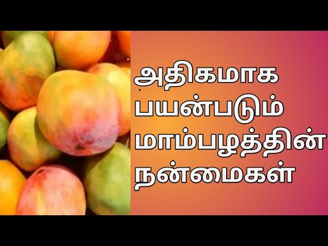 மாங்காயின் நன்மைகள்||mango benefits in tamil