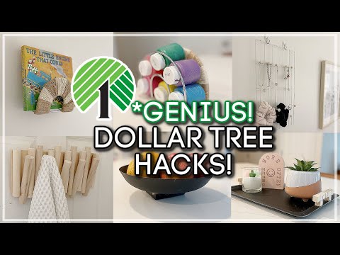 *GENUIS* DOLLAR TREE Hacks and Organization Ideas 2023 / Must Try!