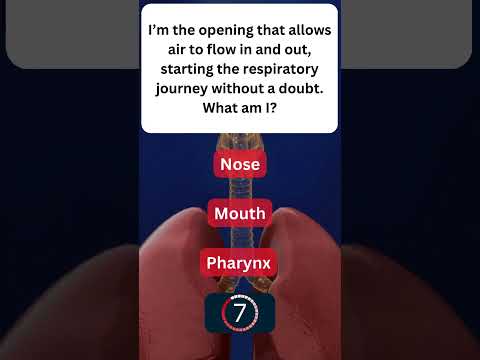 Learning About Your Respiratory System! 🌬️ #RespiratorySystem 1