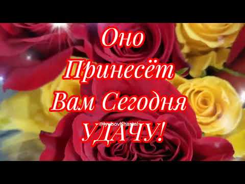 Доброе Зимнего Утречка!