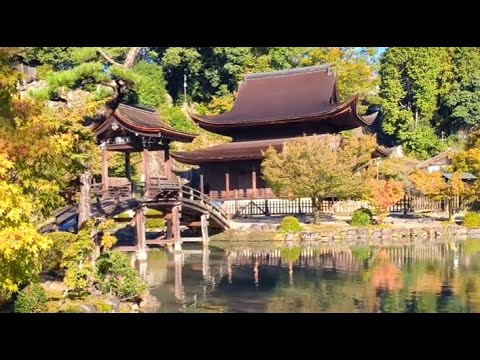 【虎渓山永保寺】　岐阜県多治見市　2024年11月3日（日）　　Gifu-Japan