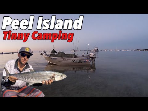 SOLO TINNY CAMPING EXPEDITION - Fishing for food in Moreton Bay - Bonito catch and cook