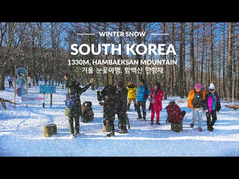 South Korea 2024, Winter Snow Walking Tour, nearby SEOUL. Seoul Travel Walker.