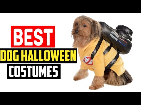 ✅Top 5 Best Dog Halloween Costumes in 2024