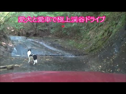 【ジムニーシエラで行く】３日目　九州大分車中泊の旅　極上渓谷を愛犬と一緒にドライブ