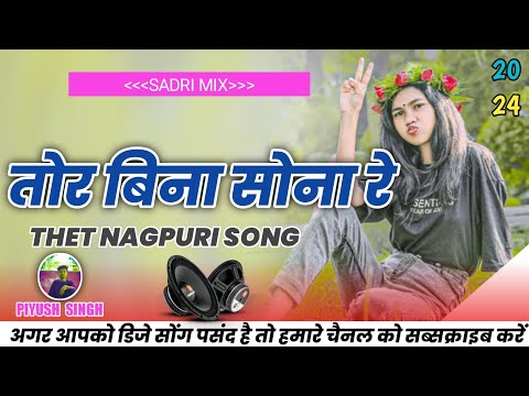 new nagpuri song  2024 // tor bina sona re // new nagpuri song //dj remix song //shaadi SPECIAL