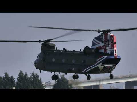 Chinook celebrates 40 years of service