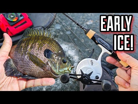 TONS of Action for EARLY Iowa Ice! (Midwest Ice Fishing)