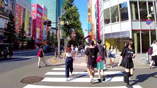 🔴Tokyo Walk 24/7🚶‍♀️【🌈Urban Paradise】🏙 Shibuya, Shinjuku, Ikebukuro, etc.😊💖Please Subscribe!💖⬇︎⬇︎⬇︎