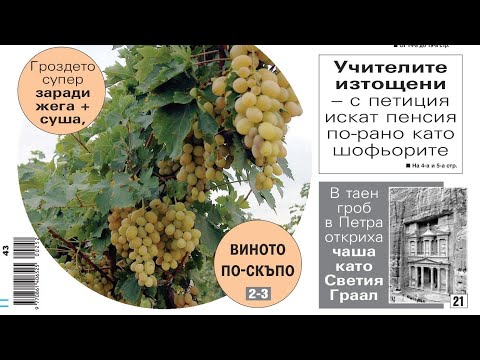 Вестник 24 Часа последните новини #вестник #24часа #новини