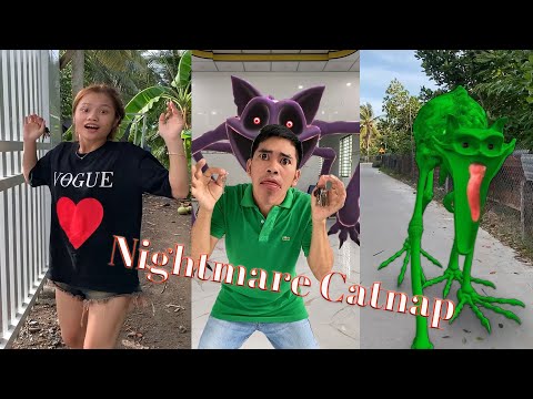 Nightmare catnap in real life so funny