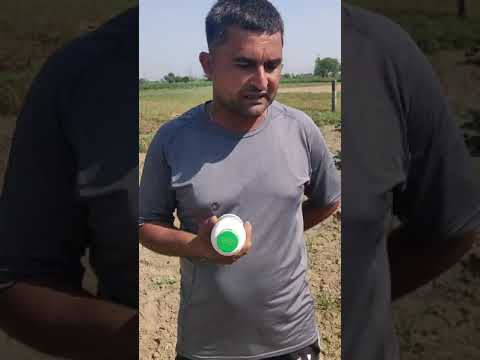 081 Farmer from Aligarh District | Uttar Pradesh | Nano Urea Testimonial