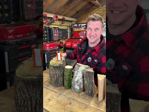 Are your Logs ready to Burn? #stihl #wood #shortsfeed #shorts #tool #logging #woodburner