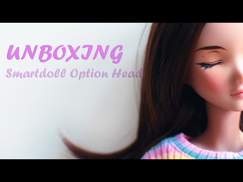 BJD Unboxing ~ Smartdoll Vision Option Head