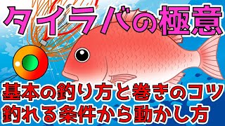 【タイラバ（船釣り）】決定版！タイラバの基本は釣りの基本でした。