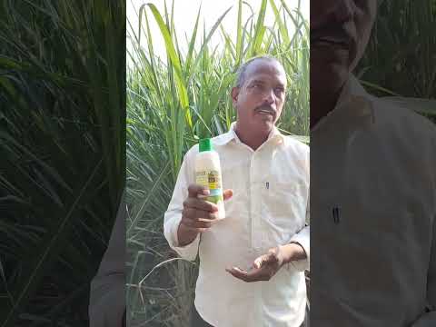 103  Gurushant from Belgaum District | Karnataka | Nano Urea Testimonial