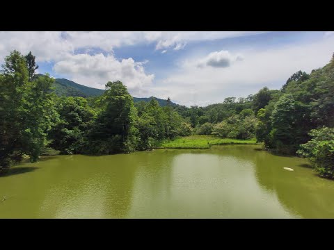 苗栗向天湖.南庒老街