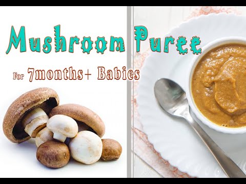 7 MONTHS + Baby Food || MUSHROOM PUREE