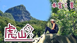 【水雲三星】 虎山🐯 "難纏的中級山，被老虎咬到~~🥵" 酷似大霸尖山