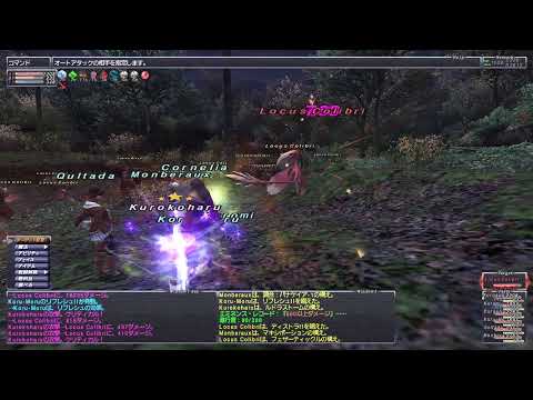 【FF11】惑う剣士になれたような気がするが寄り道ばかりなり【いろいろ】