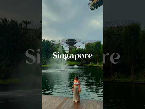 Watch this if you miss Singapore 🇸🇬 | @_twopassportsabroad_