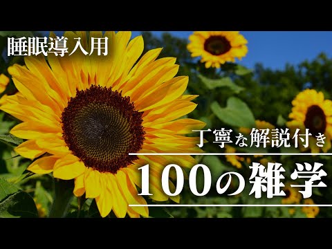 【睡眠導入用】100の雑学(解説付き)【雑学】いつもより贅沢に100個の雑学を♪