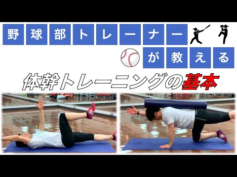 【体幹トレーニング】仰向けと四つ這いで出来る！基本のコアトレ！！