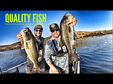 Catching Big Bass at the Goon!(Ft. Where We Wild)-Castaic Lake