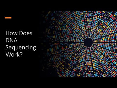 How Does DNA Sequencing Work?