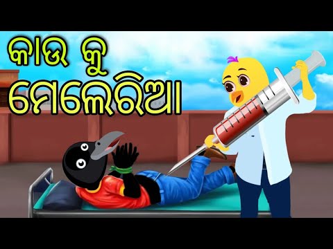 କାଉ କୁ ମେଲେରିଆ | Kau Ku Malaria | Tiki Chadhei | Odia Gapa | Chadhei Gapa