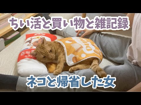 【40代】帰省の記録とアホな買い物/夏の準備と気がつけばちい活してた動画【vlog】