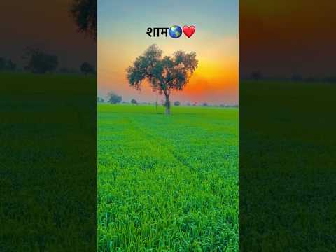 खेती बड़ी स्टेटस ♥️🔥 Farming short reel 😲😍#farming #trending #viralvideo #khetibadi#farming#trending