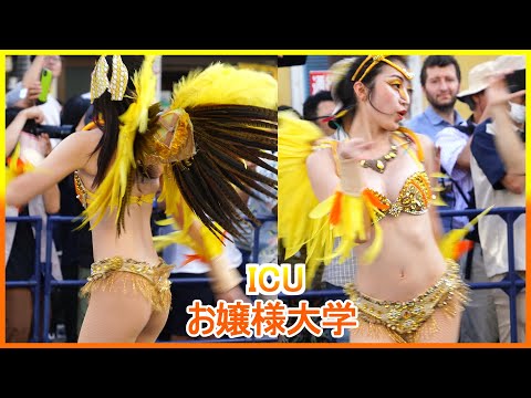 4K ICU 大学生 サンバ 可愛い ひまわり娘 浅草サンバカーニバル 2023 Japanese Samba