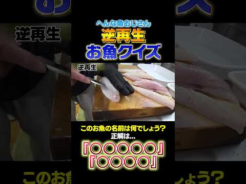 【逆再生お魚クイズ】ひげの兄貴が捌くこのお魚はなんでしょう？！難易度★3#asmr  #shorts #seafood #食テロ #asmr  ＃逆再生 #お魚クイズ