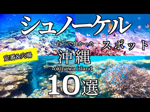 [Top 10 Okinawa snorkeling spots] Top 10 snorkeling spots worth visiting / Standard & hidden gems