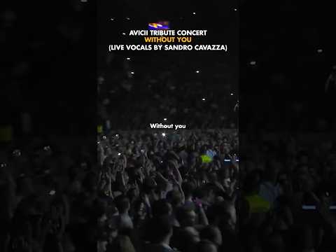 tribute concert - without you by sandro cavazza (lyric)