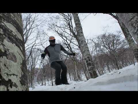 240423 今季初の雨飾山。登山道はまだほぼほぼ雪。登りきったブナ林の斜面はやはりサイコー。スキーはBCクロカン。後半は「扇ナッペ」の練習してました。