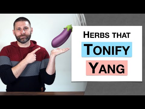 🌿 Herbology 3 Review - Herbs that Tonify Yang (Extended Live Lecture)