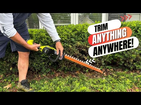 Expert Picks 7 Best Hedge Trimmers for a Perfect Lawn