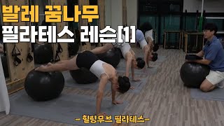 발레리나 유망주들 필라테스 레슨 해주었습니다 / 위례 힐링무브 필라테스