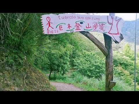 分享司馬庫斯神木步道路線風景