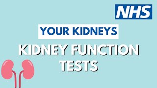 Tests to check kidney function | UHL NHS Trust