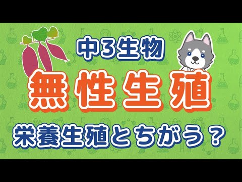 中3理科『3つの無性生殖』＊栄養生殖との違いも解説