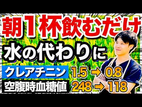 【毎日飲んでよかった】腎臓がどんどん回復していく最強の飲み物総集編！クレアチニンが高めの方必見です！（腎臓病・糖尿病・クレアチニン）