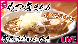 【もつ煮まとめ】ご飯との相性抜群！こだわりもつ煮込み / 名物食堂のやわらかもつ煮込み / 愛されて半世紀　鶏肉店のもつ煮込み　など　―― グルメニュースライブ（日テレNEWS LIVE）