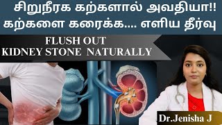 Flush out kidney stone..Naturally! #kidneystone#kidneystoneproblems#kidneystonetreatment#tamil#diet