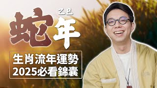 2025蛇年生肖運勢十二宮位全解析！命理師 簡少年