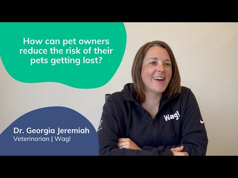 Reduce the Risk of a Pet Getting Lost | Lost Pet Prevention with Dr. Georgia