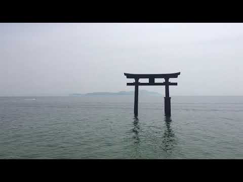 【日本滋賀】近江高島 白鬚神社(白髭神社)  鳥居