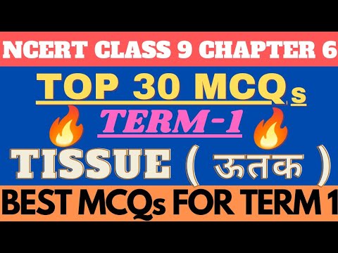 Tissue Class 9 Best MCQs | Ncert Class 9 Science Chapter 6 MCQs | Fraz Khan #cbseterm1exams